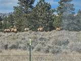 TBD County Rd 147A - Photo 2