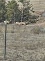 TBD County Rd 147A - Photo 26