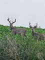 TBD County Rd 147A - Photo 3