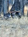 TBD County Rd 147A - Photo 32
