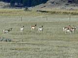 TBD County Rd 147A - Photo 34