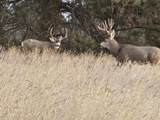 TBD County Rd 147A - Photo 36