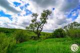 558 Elbow Creek - Photo 3