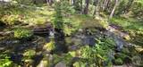 TBD Jensen Creek Hideaway - Photo 9