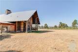 5015 Chief Brave Wolf Trail - Photo 15