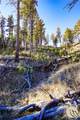 0 Dry Hole Trail - Photo 4
