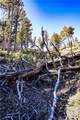 0 Dry Hole Trail - Photo 6