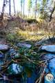 0 Dry Hole Trail - Photo 9