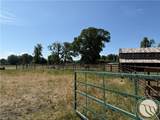 16 Powder Horn Ranch - Photo 21