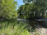 16 Powder Horn Ranch - Photo 8