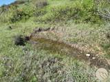 40.43 Acres Sagebrush Ridge Rd - Photo 6