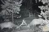 tbd Gebo Rd - Photo 4