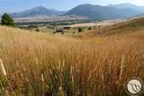 NHN Wilderness Lane - Photo 16