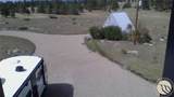 127 Quail - Photo 11