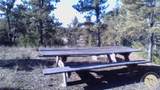 127 Quail - Photo 16