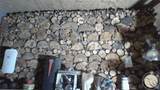 127 Quail - Photo 27