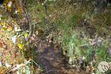 Lot 20 Rosebud View - Photo 7