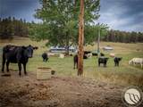 32 Montana - Photo 27