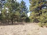 TBD Bugling Elk Lane - Photo 3