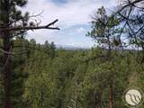 TBD Bugling Elk Lane - Photo 4