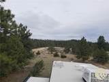 TBD Bugling Elk Lane - Photo 5