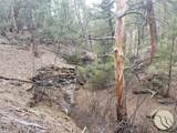 TBD Bugling Elk Lane - Photo 8