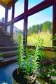 6 North Fork Sage Creek Road - Photo 8