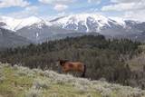 94 Sheep Mountain Road (W/ 614 Ac State Lease) - Photo 36