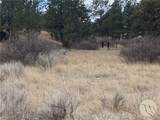 TBD Gribben Road - Photo 3