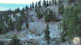 4741 Box Canyon Rd - Photo 6