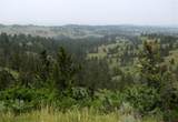 NHN Lone Rock Canyon - Photo 12