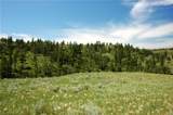NHN Lone Rock Canyon - Photo 28