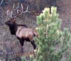 NHN Lone Rock Canyon - Photo 35