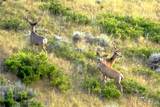 NHN Lone Rock Canyon - Photo 36