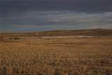 9055 Doyle Road - Photo 9