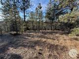42 Bozeman Trail - Photo 4
