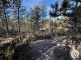 42 Bozeman Trail - Photo 5