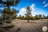 413 Pine Crest Road - Photo 20