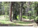 3 Cooke Pass Ln - Photo 3