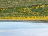 TBD Hergenrider Road - Photo 4