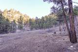 52 Buckskin Road - Photo 28