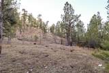 52 Buckskin Road - Photo 30