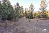 52 Buckskin Road - Photo 32