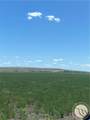 146 Acres Hwy 363 - Photo 22