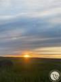 146 Acres Hwy 363 - Photo 23