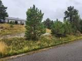 4234 Long Rider Trail - Photo 5