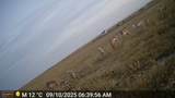 TBD Basin Acres - Photo 11