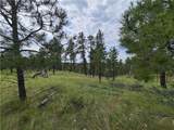 0000 Eagle Ridge - Photo 11