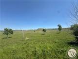 TBD Navarro Road - Photo 7
