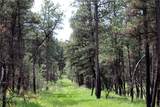nhn Deer Lane - Photo 1